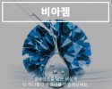 비아젬