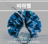 비아젬